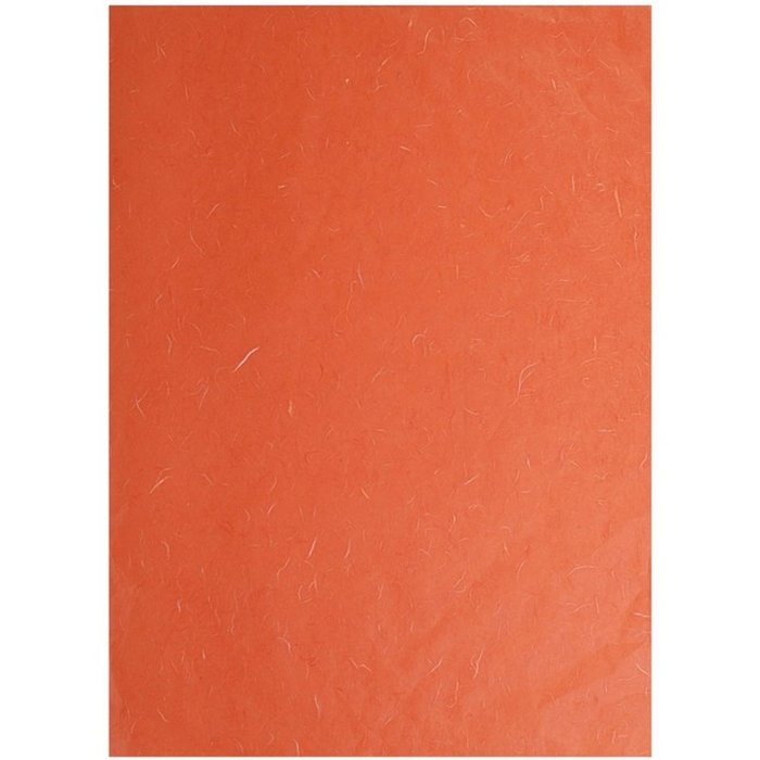 Paquete Seda de Paja, 65x95cm, 10 Hojas, 35g - Naranja