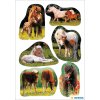 Adorables fotos de caballos en forma de pegatinas de DECOR