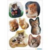 Pegatinas de gatitos juguetones de DECOR