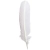 Pluma de ganso Exacompta, 28 cm de largo blanca
