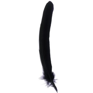 Pluma de ganso, 28 cm de largo - azul