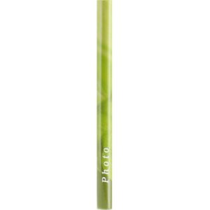 Hama Álbum autoadhesivo SINGO verde 28x31 cm 20 páginas