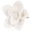 Clayre & Eef 61916 Pomo Puerta Flores Ø 5,5 cm Cerámica Beige