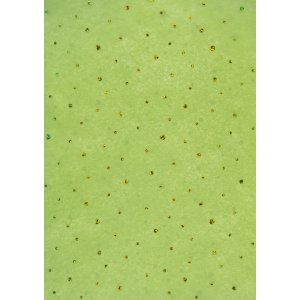 Papel 50x70cm Lunares Vellón verde