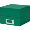 abeto verde